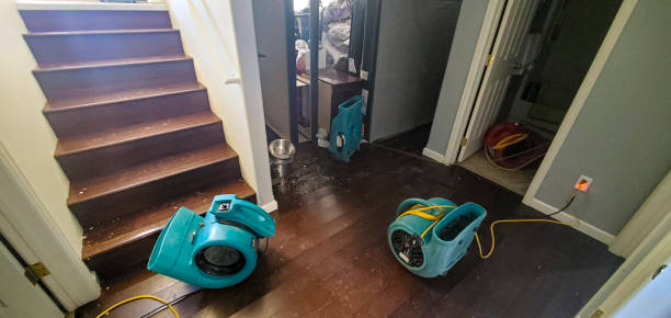 Best Carpet water damage restoration  in Linden, TX