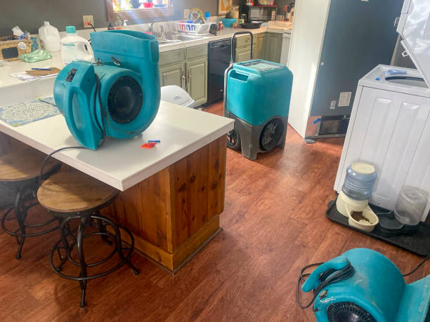 Best Residential water damage restoration  in Linden, TX