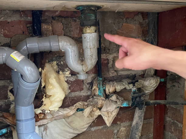 Best Water damage cleanup near me  in Linden, TX